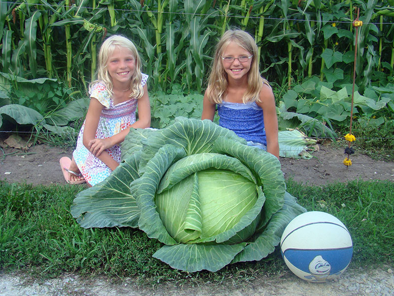 Kaci and Maci - Iowa