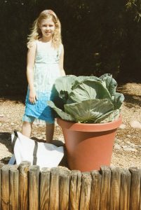 Growing Cabbage in a Container