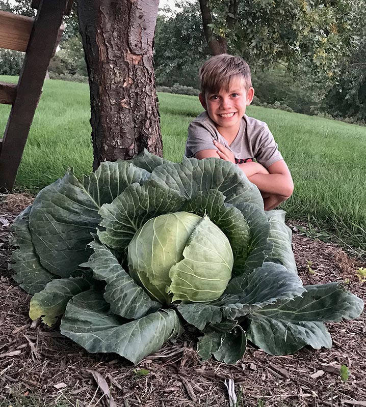 Braylon - South Dakota